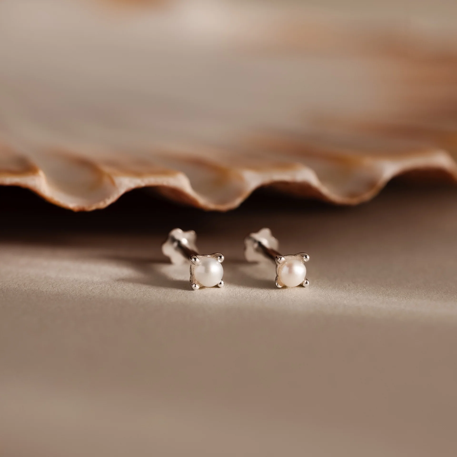 Baby Venus Flatback Studs - Image 4