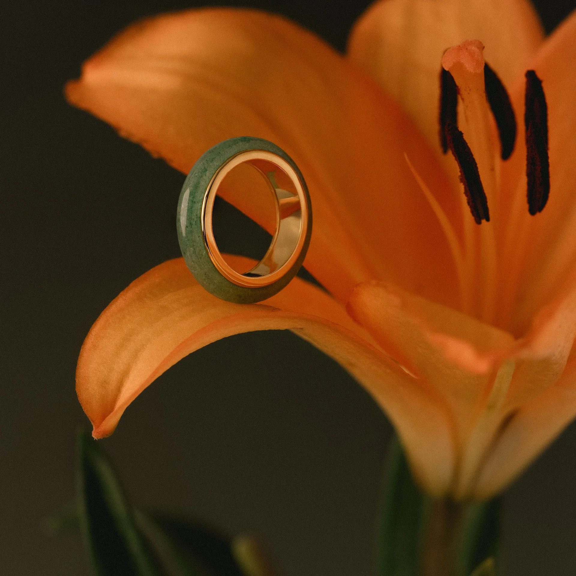 Haven Jade Spinner Ring - Image 5