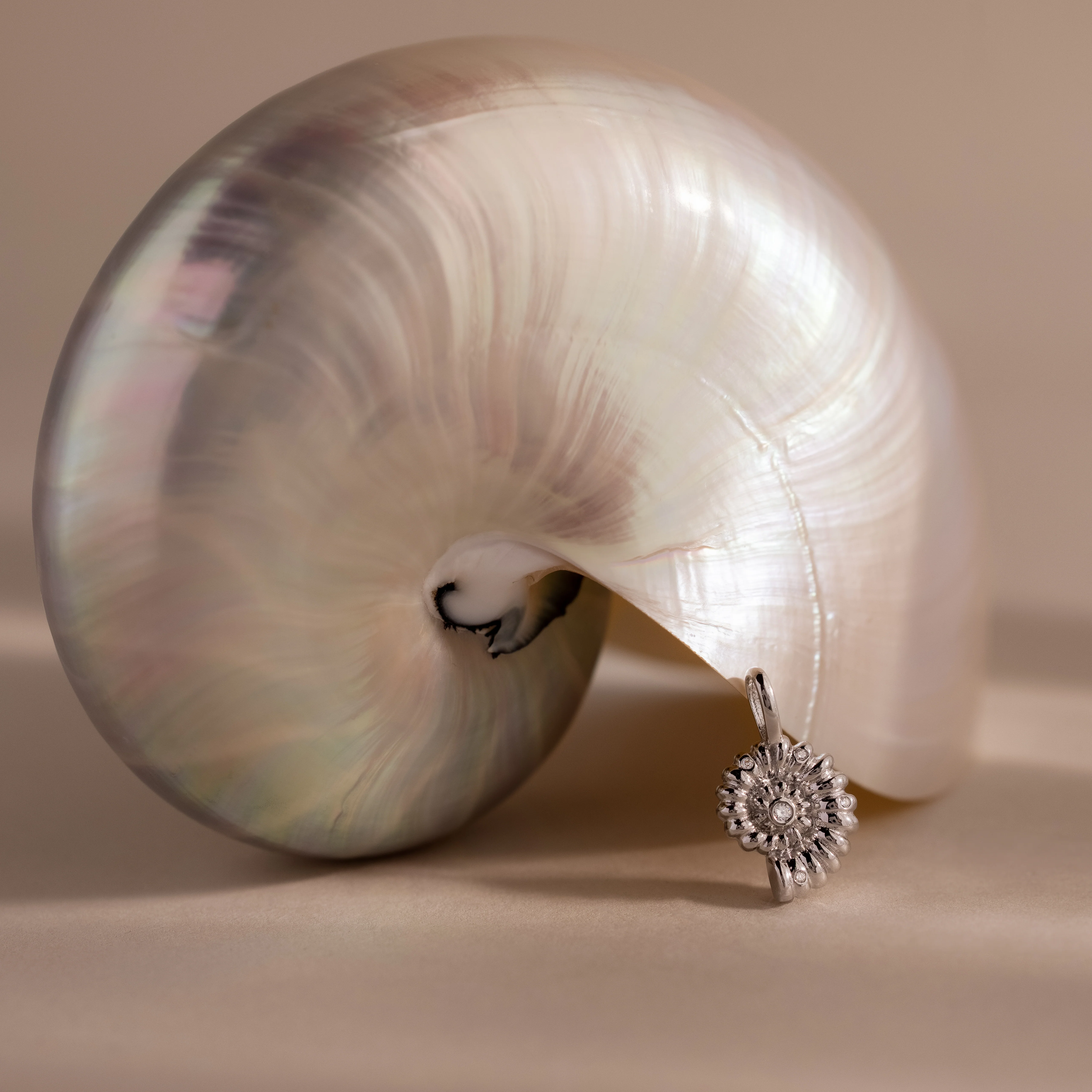 Pave Seashell Charm in Silver - Image 3