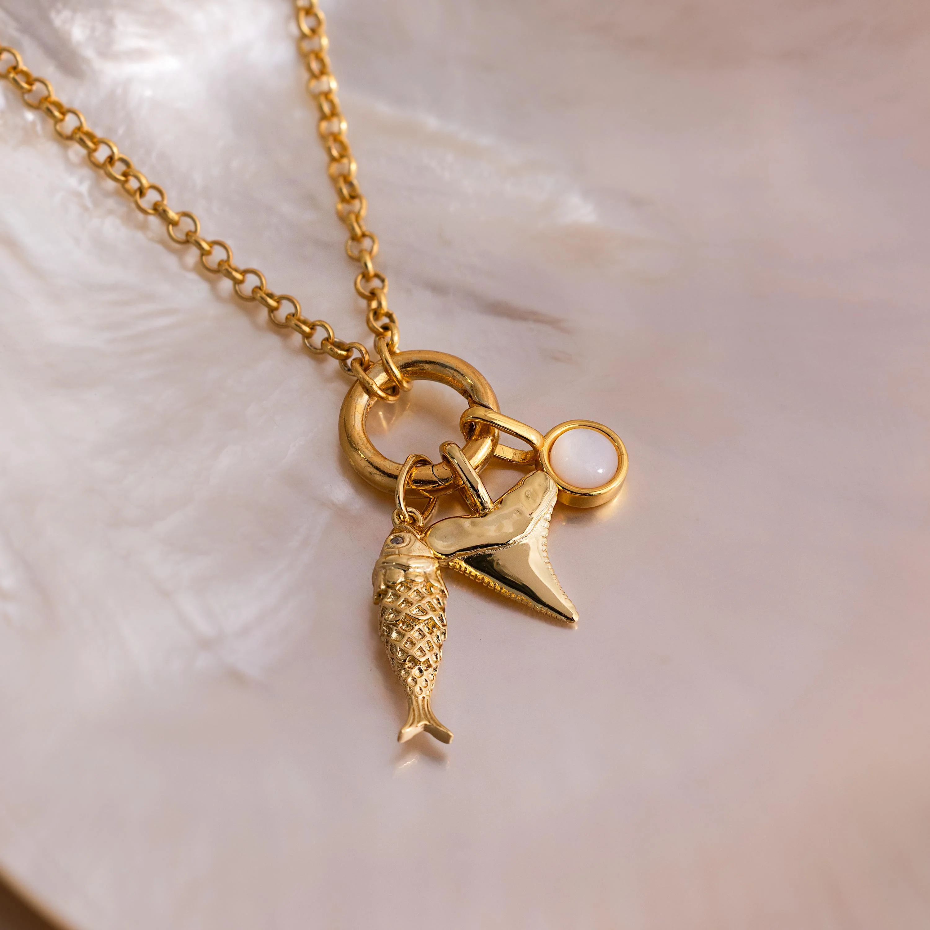 Shark Tooth Charm - Image 7