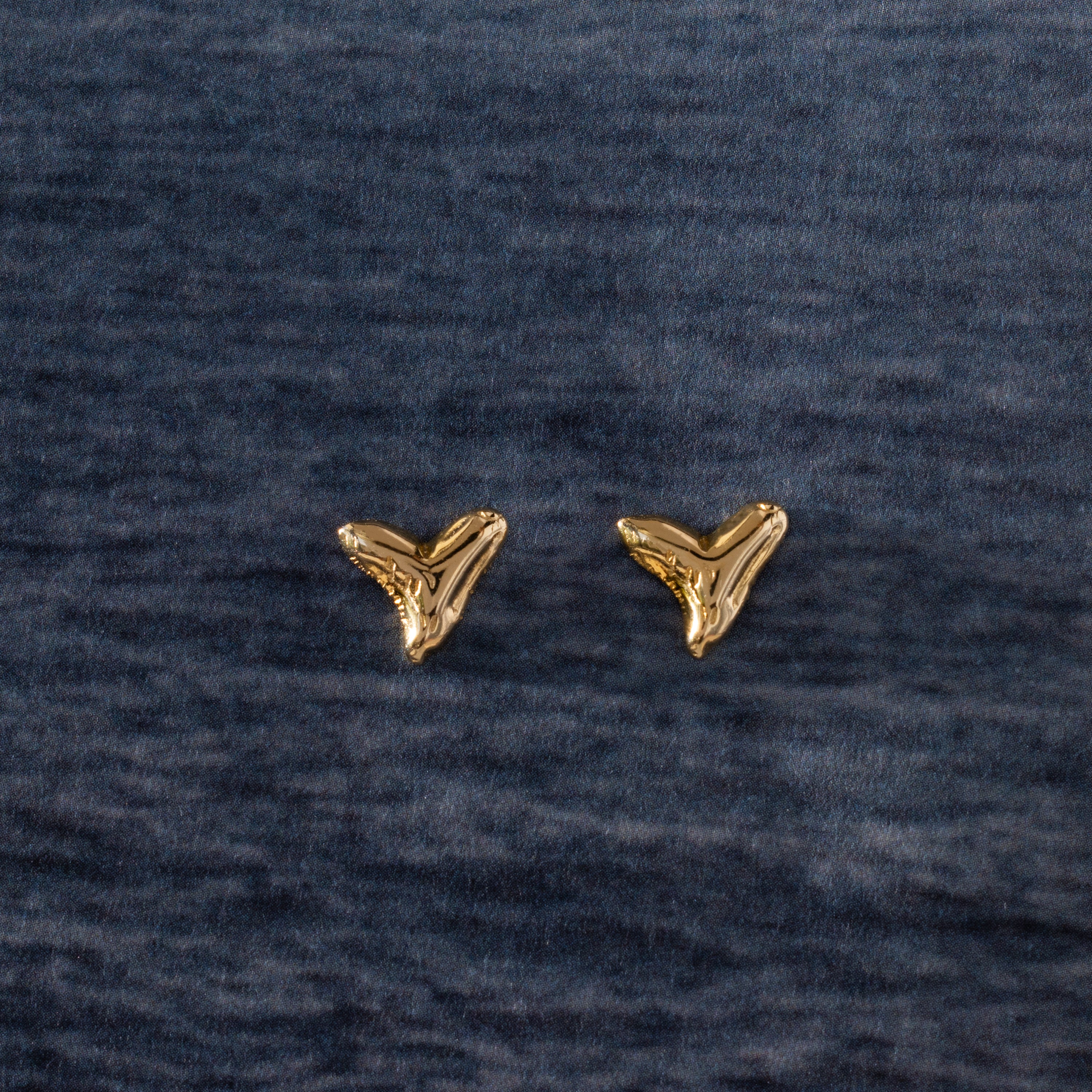Shark Tooth Flatback Studs in 18K Gold - Image 5