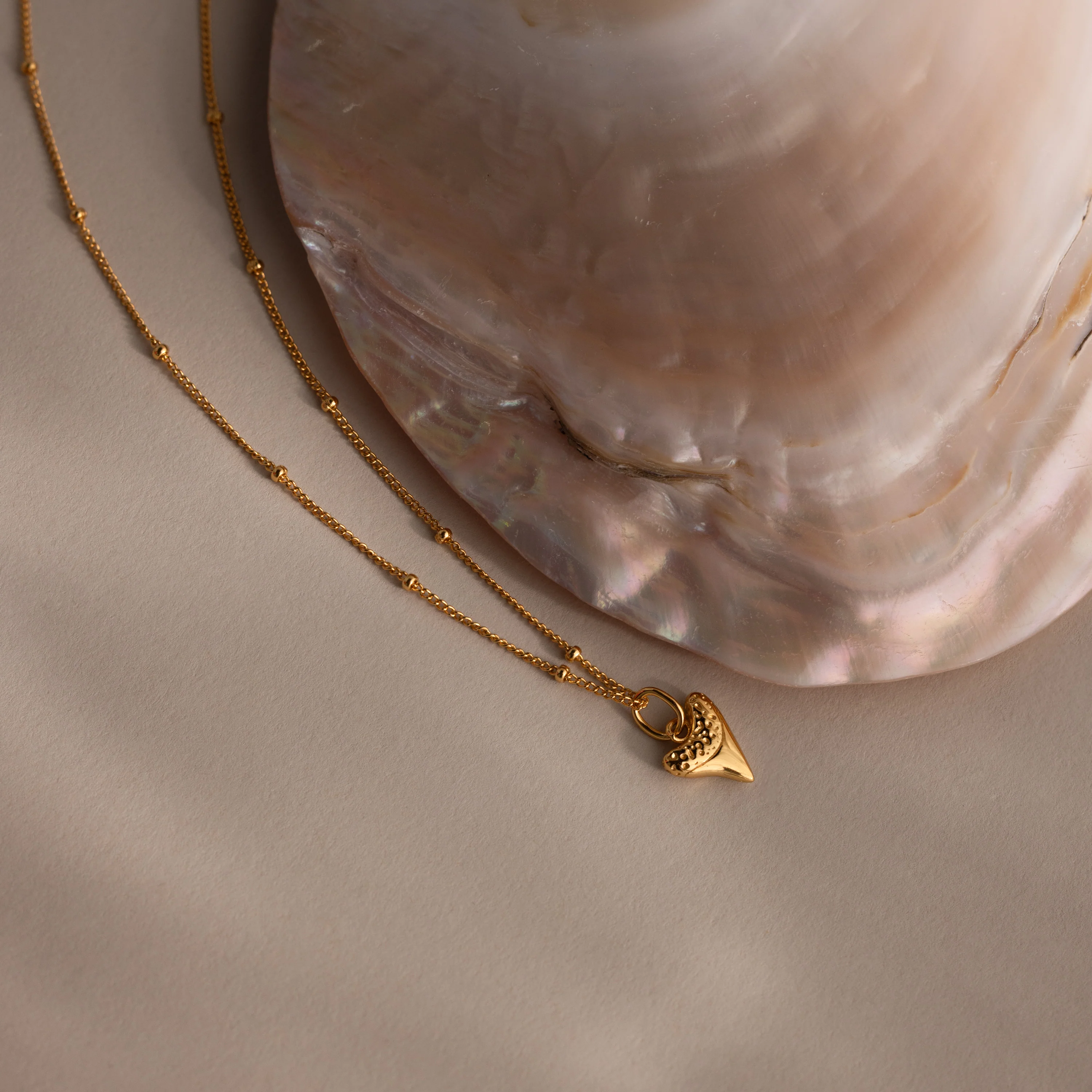 Shark Tooth Necklace in 18K Gold - Image 7