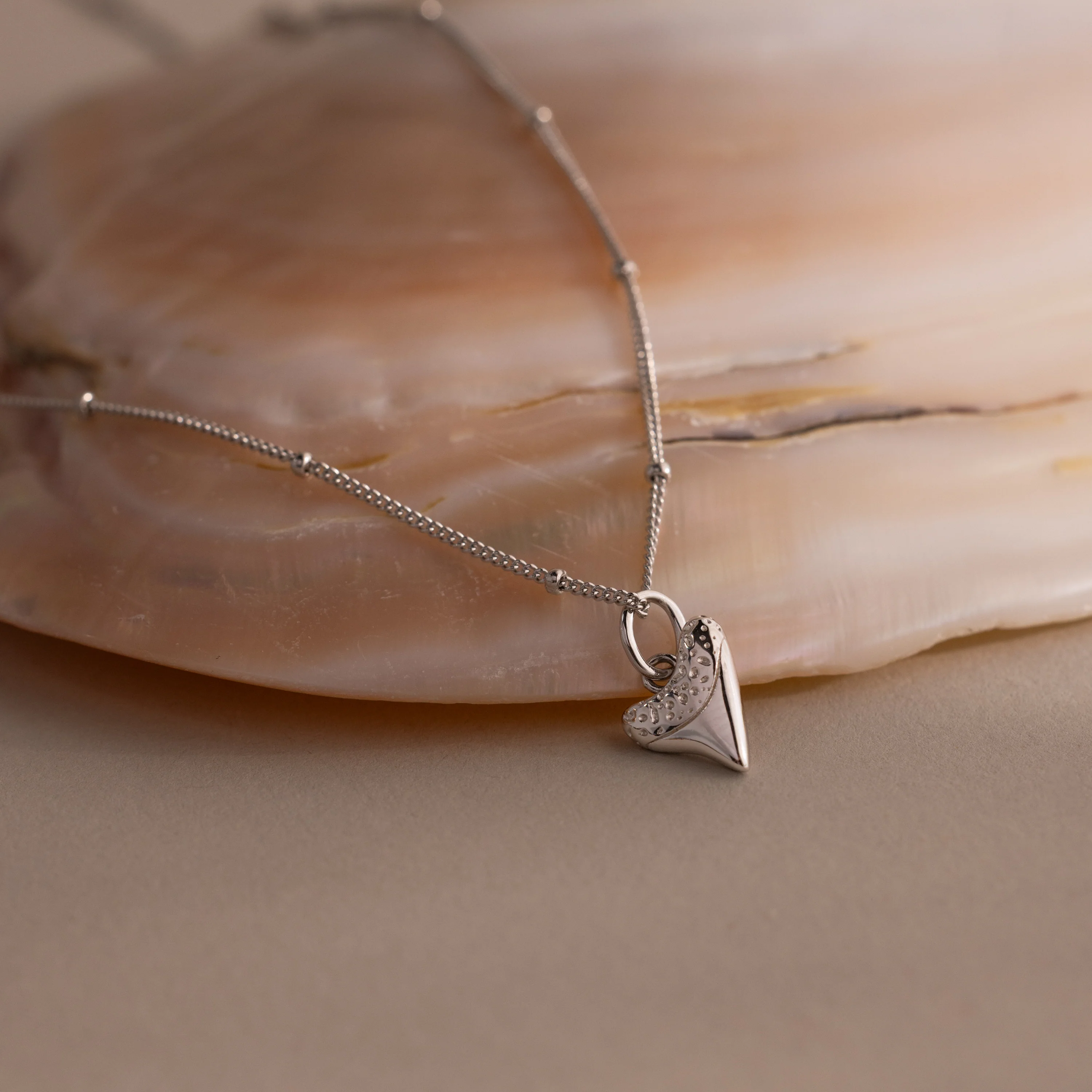 Shark Tooth Necklace in Silver - Image 3