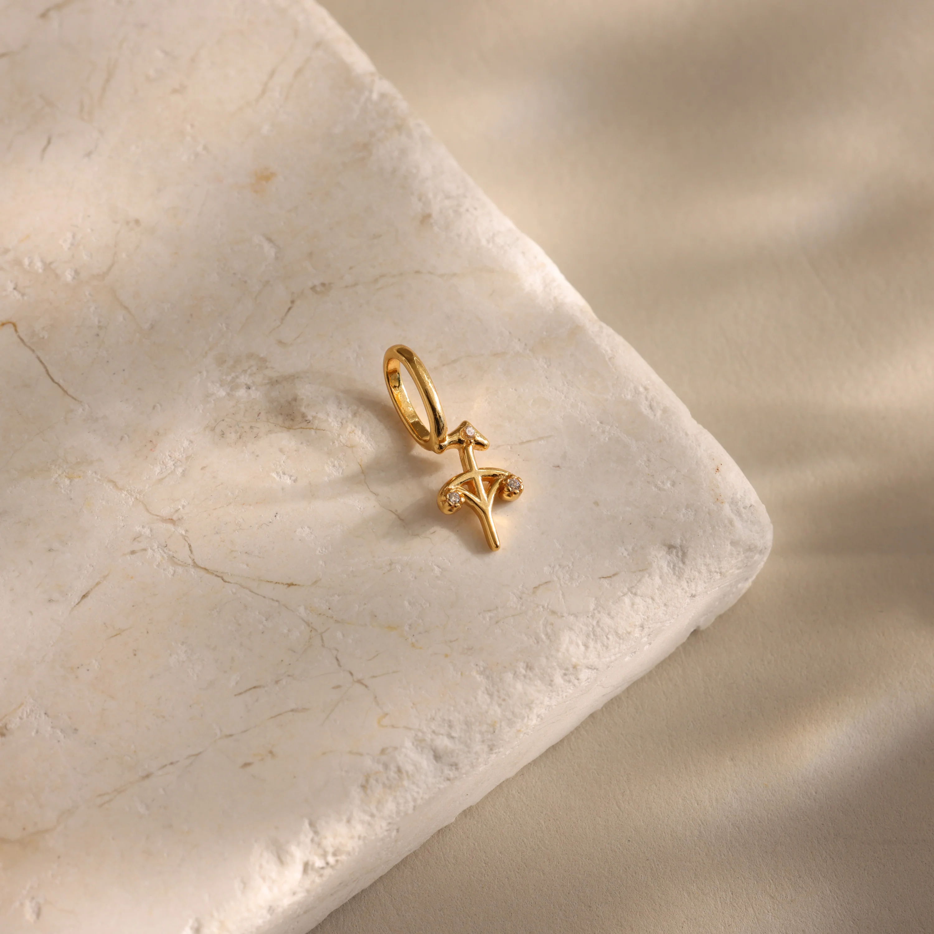 Zodiac Charm - Image 16