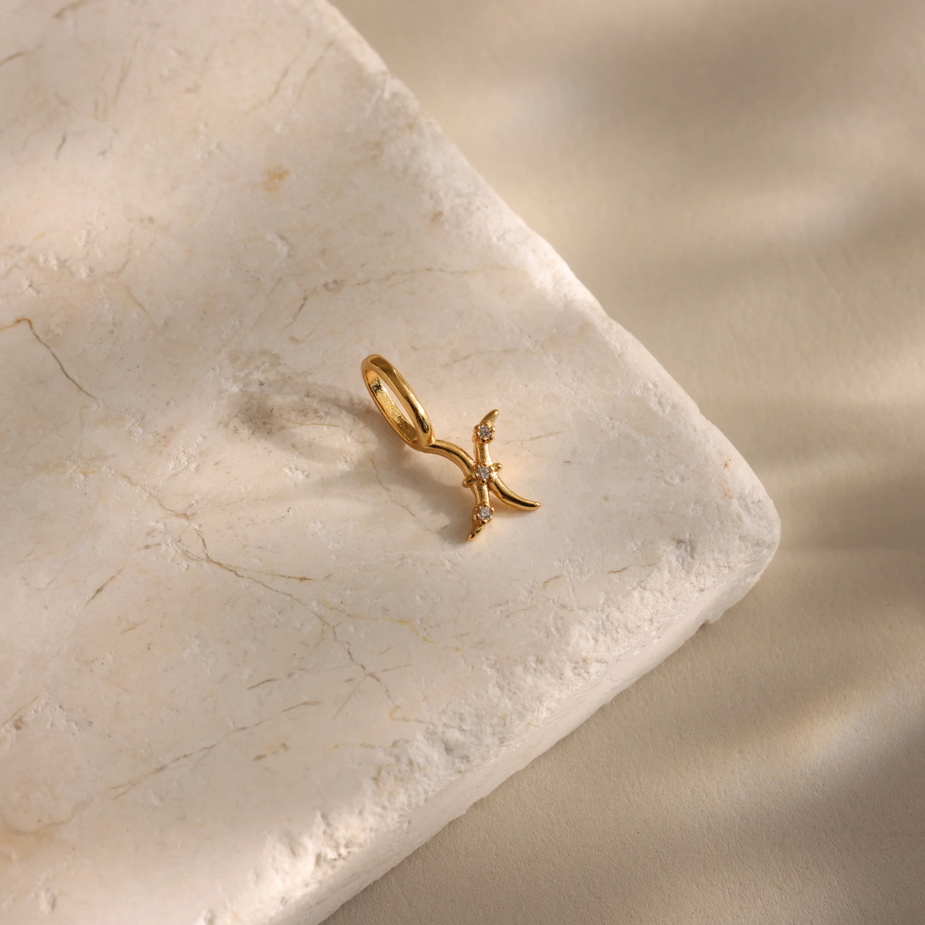Zodiac Charm - Image 19